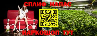 кокс Кандалакша