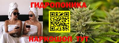 кокс Кандалакша