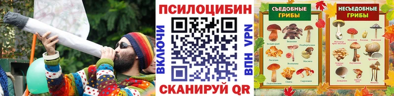 Галлюциногенные грибы Magic Shrooms  Сосновый Бор 