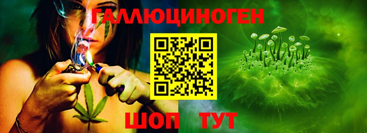 Галлюциногенные грибы ЛСД Сосновый Бор